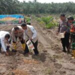 IMG-20250627-WA0082