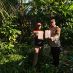 IMG-20250630-WA0143