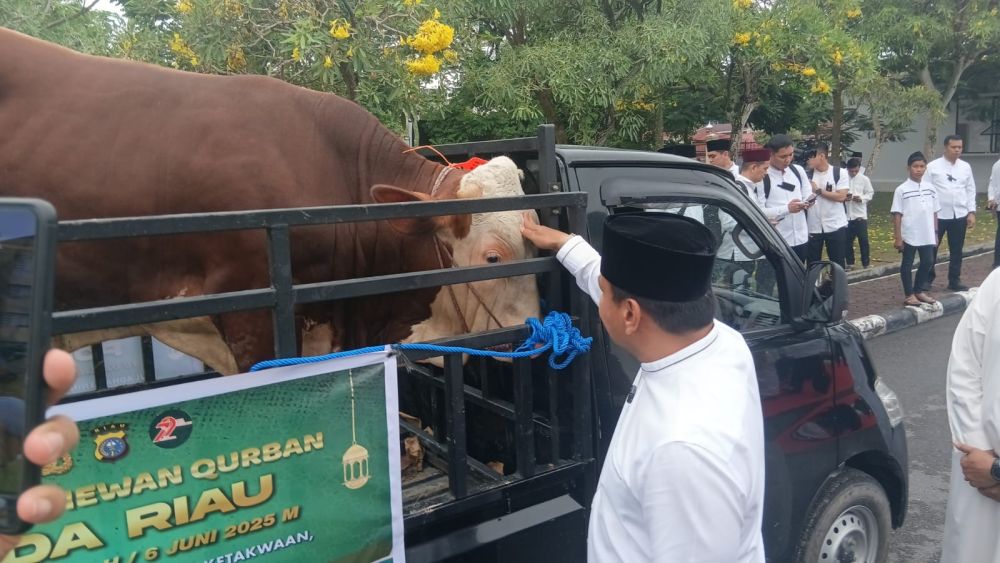polda-riau-salurkan-151-sapi-dan-48