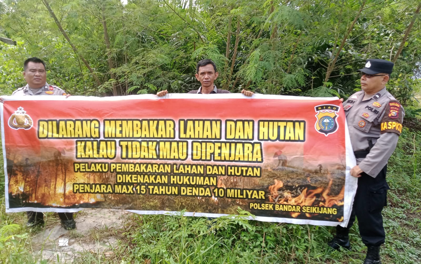 IMG-20250616-WA0136