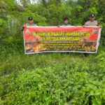 IMG-20260411-WA0367(1)