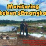IMG-20260515-WA0113