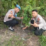 IMG-20260621-WA0056
