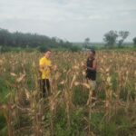 IMG-20260711-WA0154
