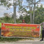 IMG-20260717-WA0133
