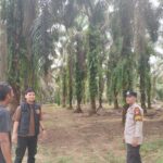 IMG-20260727-WA0127