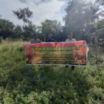 IMG-20260814-WA0295