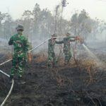 IMG-20260823-WA0248