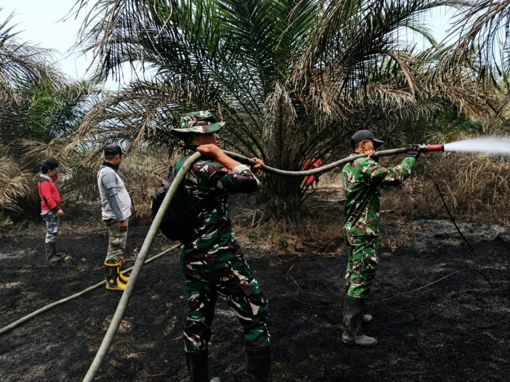 IMG-20260825-WA0235