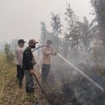 IMG-20260825-WA0239