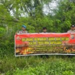 IMG-20261022-WA0133